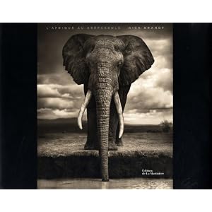 L'Afrique au crépuscule - Nick Brandt