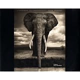 L'Afrique au cr�pusculepar Nick Brandt