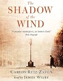 The Shadow of the Wind 画像