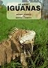 All About Iguanas