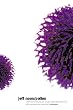 Pollen