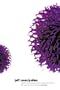 Pollen
