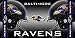 NFL Baltimore Ravens Fiber Reactive Beach Towel