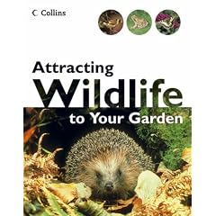 Attracting Wildlife To Your Garden