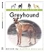 Living with a Greyhound