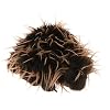Porcupine Puppet