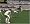 Cricket 07 (PS2)