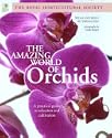The Amazing World of Orchids