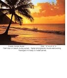 IDEALDECOR WALL MURALS & DOOR MURALS Wallpaper 218 Wallpaper IDEALDECOR WALL MURALS & DOOR MURALS Wallpaper -218 Wallpaper