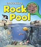 Look inside a rock pool