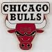 Chicago Bulls NBA Basketball Logo Collectors Pin Image