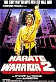 Karate Warrior 2 - Blood Tiger - Kim Stuart