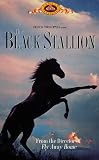 The Black Stallion