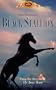 The Black Stallion [VHS]