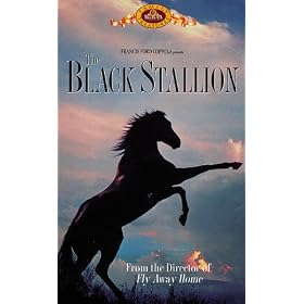 Black Stallion