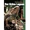 Leguane und Agamen