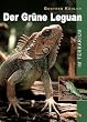 Der Gr�ne Leguan im Terrarium