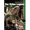 Der Gr�ne Leguan im Terrarium