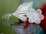 Brooch, 'Silver Allamanda' 1.9 W 1.2 L