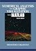 Books : Numerical Analysis and Graphic Visualization with MATLAB (2nd Edition)