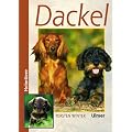 Dackel (Heimtiere)