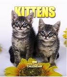 Kittens Weekly 2006 Calendar