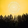 cover of THE DECEMBERISTS - The King Is Dead