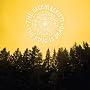 The King Is Dead ~ the Decemberists