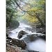 Misty River Morning Jigsaw Puzzle 350pc