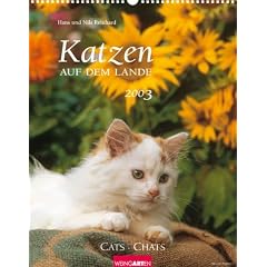 Katzen auf dem Lande 2009