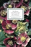 Die Blumen in den Wintertagen: Bilder und Texte (Insel B&uuml;cherei) - 
