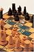 Book The Chess Player's Bible: Illustrated Strategies for Staying Ahead of the Game