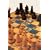 The Chess Player's Bible: Illustrated Strategies for Staying Ahead of the Game