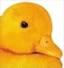 Books : Animal-Shaped Board Books: Farm Animals