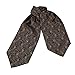 ERA1B07-08 Paisley Mens Ascot Woven Microfiber Cravat Wholesale Goods By Epoint