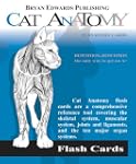 Cat: Comparative Anatomy