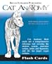 Cat Anatomy