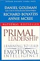 Primal Leadership: Learning to Lead with Emotional Intelligence