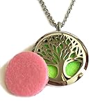 Diffuser Necklace, Denee Aromatherapy Essential Oil Diffuser Necklace Jewelry, Hypo-Allergenic 316L Surgical Grade Stainless Steel Locket Pendant with 24