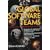 Global Software Teams: Colloborating Across Borders and Time Zones