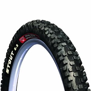 WTB Stout Mountain Bike Tire