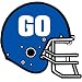 Go Helmet Temporary Tattoos