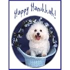 Pet Star Hanukkah Cards - Bichon Frise by  Pet Star Photography