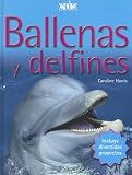 Ballenas Y Delfines