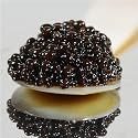 American Black Bowfin Caviar - "Malossol"