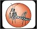Decorated Mouse Pad with insect, mantis, bug, praying