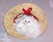 Search : Assorted Fur Life Like Cat Figurines Sleeping in Straw Hat