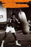 Muhammad Ali Poster Punchbag Hate Training Poster Print, 24x36