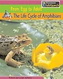 The life cycle of amphibians