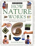 How nature works